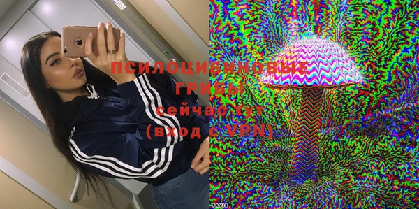 ГАЛЛЮЦИНОГЕННЫЕ ГРИБЫ Елабуга